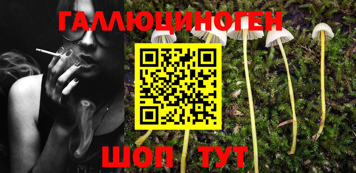 Псилоцибиновые грибы MAGIC MUSHROOMS  Вход с VPN  Псилоцибиновые грибы GOLDEN TEACHER  Прокопьевск 